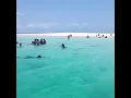 Download Lagu wasini island mpunguti kisite marine park dolphin tour best beach in Kenya.