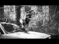 Jan Verstraeten - GOODBYE WORLD (official video)
