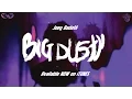 Joey Bada - Big Dusty