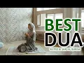 Download Lagu GOOD MORNING! GREAT DUA TO MAKE YOUR DAY SUCCESSFUL AND GREAT AND PEACEFUL