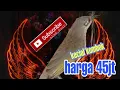 Download Lagu Burung  juara kecial kombok SEMESTA ditawar 45 juta miliknya lalu alam daur asal penujak Lombok