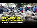 Download Lagu Harga Domba Di Pasar Pahing Mulai 600 Ribu