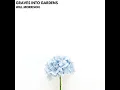 Graves Into Gardens (Acoustic)