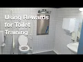 How to Use Rewards for Toilet Training