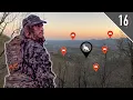 Dealing With PRESSURE in GEORGIA - Figuring Out Pressured Turkeys