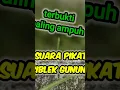Download Lagu suara pikat cigun dapatkan durasi lebih panjang
