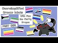Aroace Labels Part One LGBTQ Info