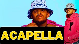 kabza nana thula amapiano acapella 
