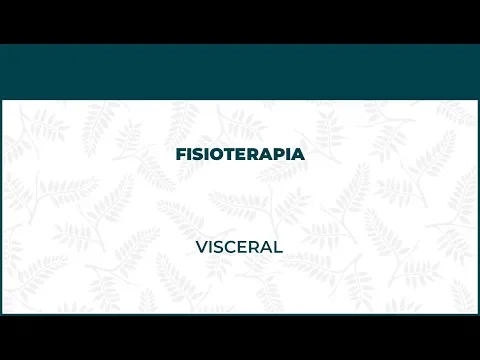 Fisioterapia Visceral - FisioClinics Bilbao, Bilbo