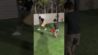 هادا الزلمة غلط كتيرلما عملها قدام ابو 