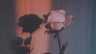 felix cartal faces slowed 
