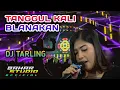 Download Lagu TANGGUL KALI BLANAKAN - SUSILAWATI // DJ TARLING RWEIX