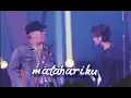 Download Lagu Iwan Fals \u0026 Agnes Mo | MATAHARIKU