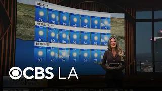 Dani Ruberti s 6 a m forecast NEXT Weather