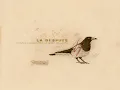 La dispute - such small hands. 1 hour ver