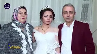 عقبال العزابيه       دندنها