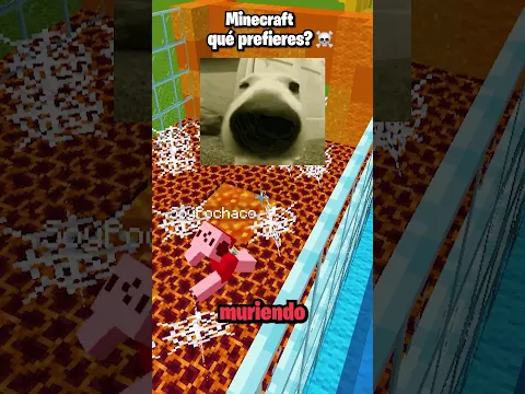 MINECRAFT ESCOGE el SONIDO🧲 #shorts #minecraft