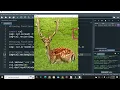 Tutorial 3 - Drawing Functions in OpenCV Image Processing Course Computer Vision