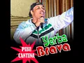 Pibe Cantina