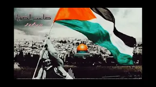 صاحب الصورة 