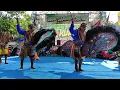 Download Lagu Jaranan ROGO SAMBOYO PUTRO Rampokan Celeng❗Live Kuwik Kunjang Kediri