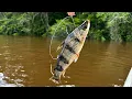 Channel