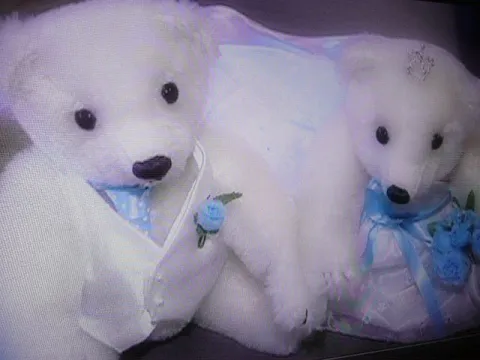 出張ビデオ撮影　結婚式2次会・パーティー動画撮影（いずれも編集込み）