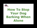 How to Stop Your Dog Barking When Alone | Top Tips