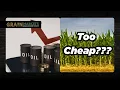 Grains Might Be Way Too Cheap - What are Fund Traders Watching