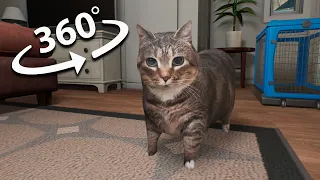 u ii a io ui a i o xcat movie compilation 360 vr