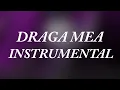 Download Lagu Lidia Buble - Draga mea | Instrumental
