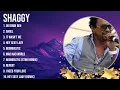 Download Lagu The best of  Shaggy full album 2024 ~ Top Artists To Listen 2024