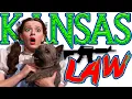 Kansas Gun Law ALERT Need to Know Information