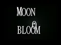 ambient music to moon gaze to