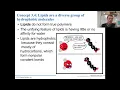 AP Bio 3 2-4 Polymers Carbohydrates and Lipids
