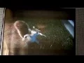Opening to Tarzan Special edition 2005 DVD