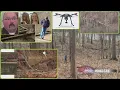 THE DELPHI CASE RE-EXAMINING THE SEARCH