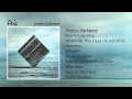 Fink - Perfect Darkness