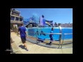 Splash Zone