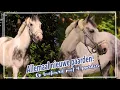 Download Lagu HEEFT CALIJN een NIEUW PAARD?! + TIMMY\u0026CO ONTSNAPPEN!!