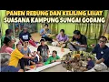 SEBELUM PULANG ,PANEN REBUNG DAN LIHAT SUASANA KAMPUNG YG BERADA DI PINGGIRAN SUNGAI
