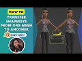 How To Transfer Shape Keys From One Mesh To Another In Blender
