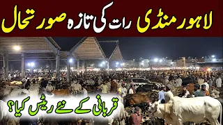 latest lahore shahpur kanjra cow mandi updates qurbani 2026 bakra mandi pakistan