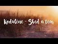 Kodaline - Shed a Tear ( Lyrics )