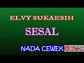 Download Lagu SESAL (COVER) KARAOKE DANGDUT