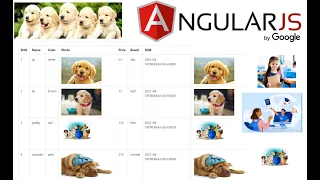 Accessing Rest API in Angular using HttpClient Day-6