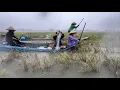 Download Lagu 1692 / Bao lưới đuổi cá mè vinh ngày mưa bão dính thấy mê 