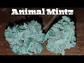 Strain Review - Animal Mintz