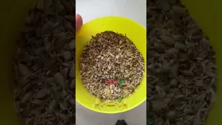 سهره سایره چوکر                 دندنها