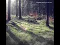 Hakobune – Shadow On The Lawn
